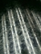 Z180 কোল্ড ঘূর্ণিত উচ্চ স্ট্রেংথ ইস্পাত প্লেট ইস্পাত coils SPCC SPCD 0.61 * 1250mm