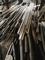 হট ঘূর্ণিত কালো মিকাল হাটেল্লয় c276 স্টেইনলেস স্টীল বৃত্তাকার বার ব্যাসার্ধ 35mm - 120mm
